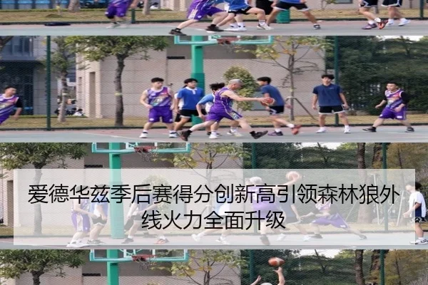 爱德华兹季后赛得分创新高引领森林狼外线火力全面升级